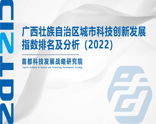 逼逼爱插【成果发布】广西壮族自治区城市科技创新发展指数排名及分析（2022）